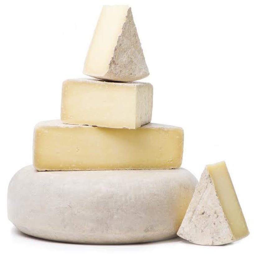 Cheese Wedge 3 Pack