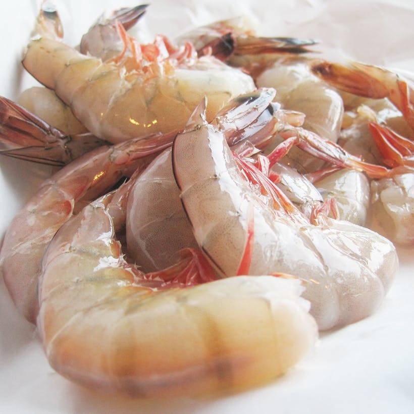 Headless Jumbo Gulf Shrimp - 5lbs