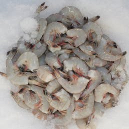 Headless Jumbo Gulf Shrimp - 5lbs